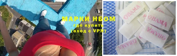 бошки Бронницы