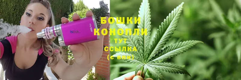 MEGA как зайти  Кингисепп  Бошки марихуана конопля 